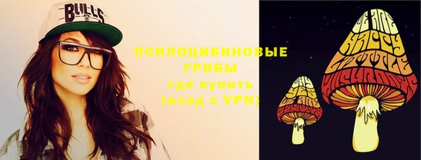 бутират Елабуга