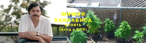 бутират Елабуга