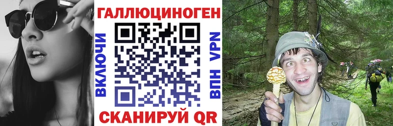 купить Тейково Галлюциногенные грибы Psilocybine cubensis