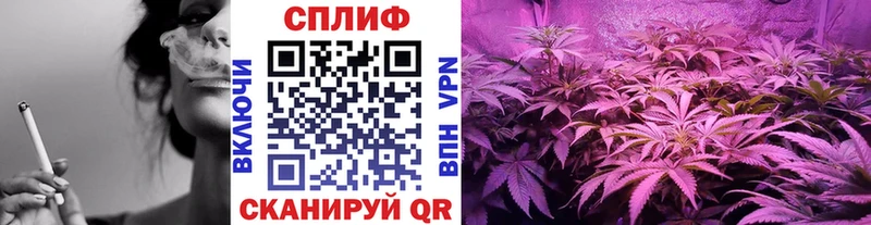 МАРИХУАНА индика Тейково